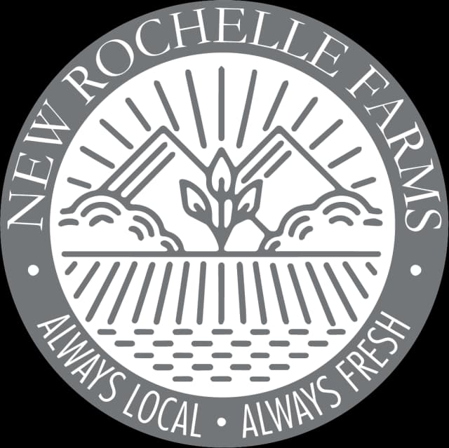 New Rochelle
